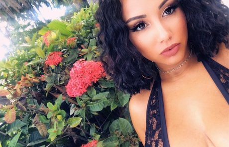 Leila Grey estrella porno superior galería