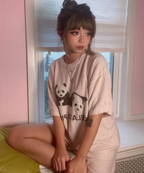 Wasabiicat modelo de arte recopilación