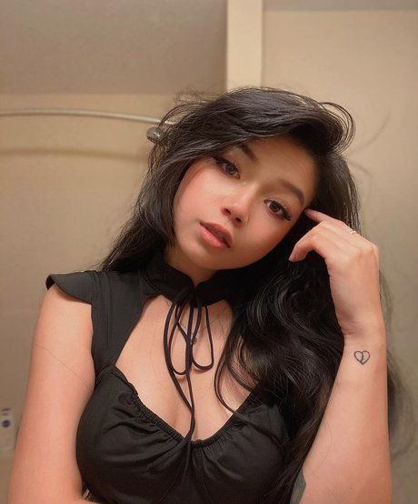 Wasabiicat haut étoile photos