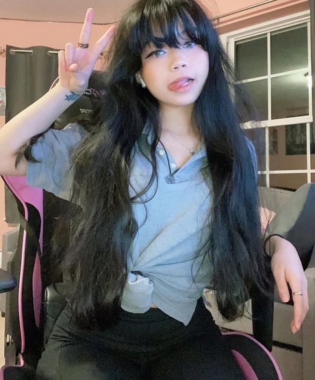 Wasabiicat modelo superior imagen