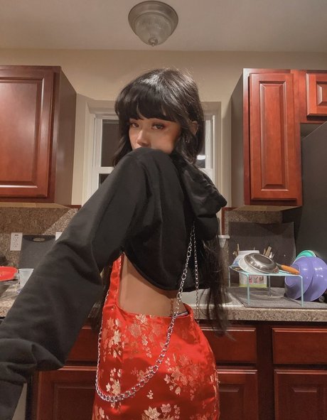 Wasabiicat étoile chaude photos