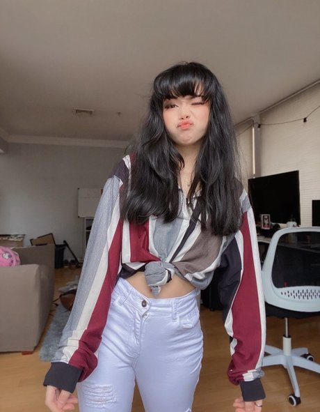 Wasabiicat estrella adulta fotos