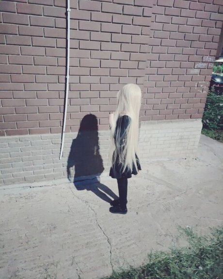 tsundurka hermosa estrella imagen