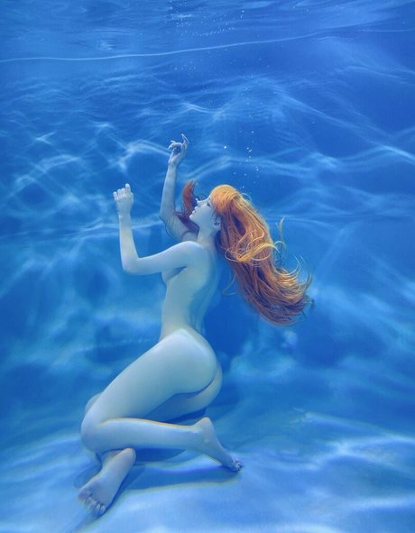 Mik Allen étoile parfaite photos