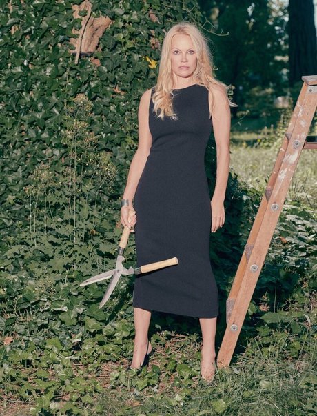 Pamela Anderson jolie star du porno galeries