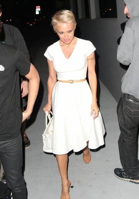 Pamela Anderson perfect actress photos