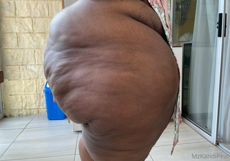 South African Thick estrella bonita imagen