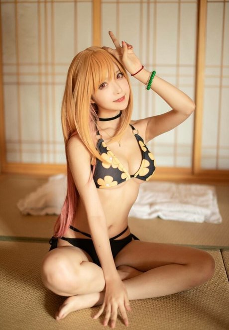 Shika daily jolie étoile collection