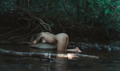 aahitskat arte estrella porno imagen