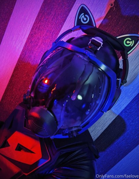 fayelockwood modèle gratuit galeries