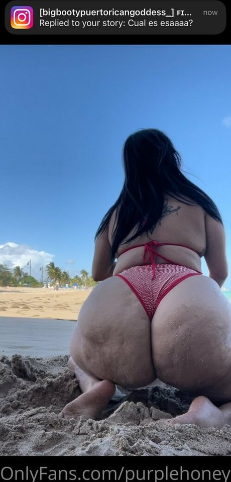 purplehoneydiesel art étoile images