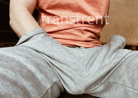 transtrentfree star hd pics