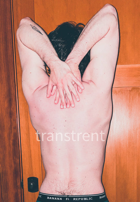 transtrentfree nice pornstar archive