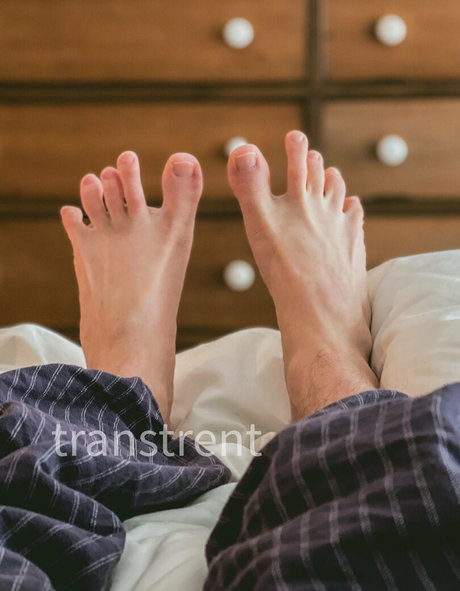 transtrentfree arte estelar archivo