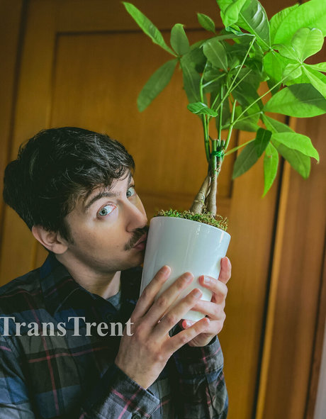 transtrentfree Miniature