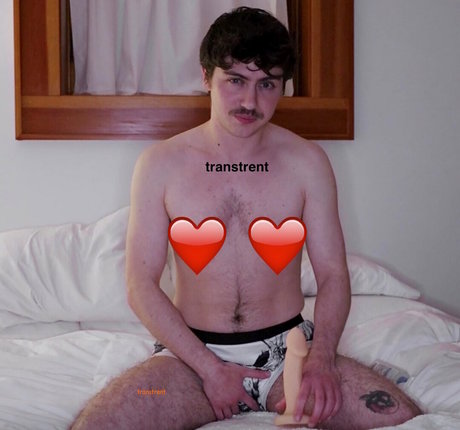 transtrentfree modelo hd imagen