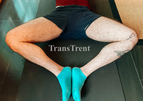 transtrentfree estrella porno hd archivo