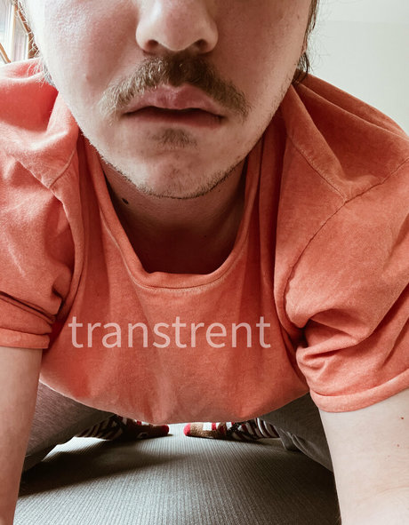 transtrentfree sexe star du porno galerie