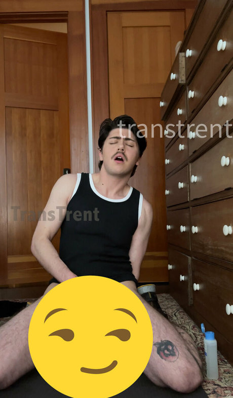 transtrentfree actriz de alta definición imágenes