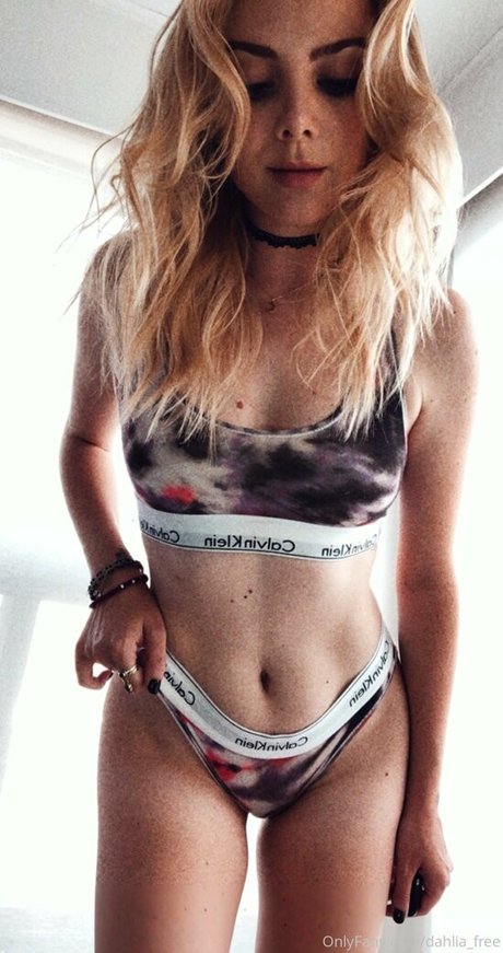 dahlia free art étoile images