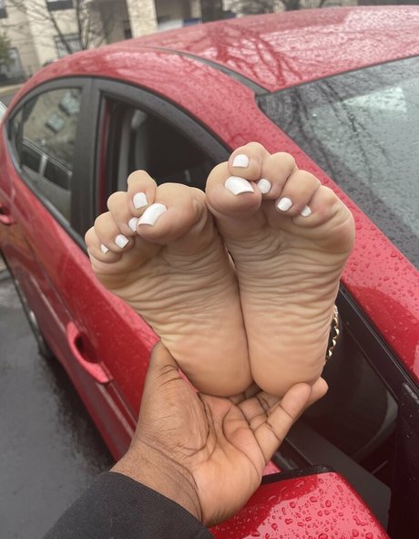 servingfet beau modèle image