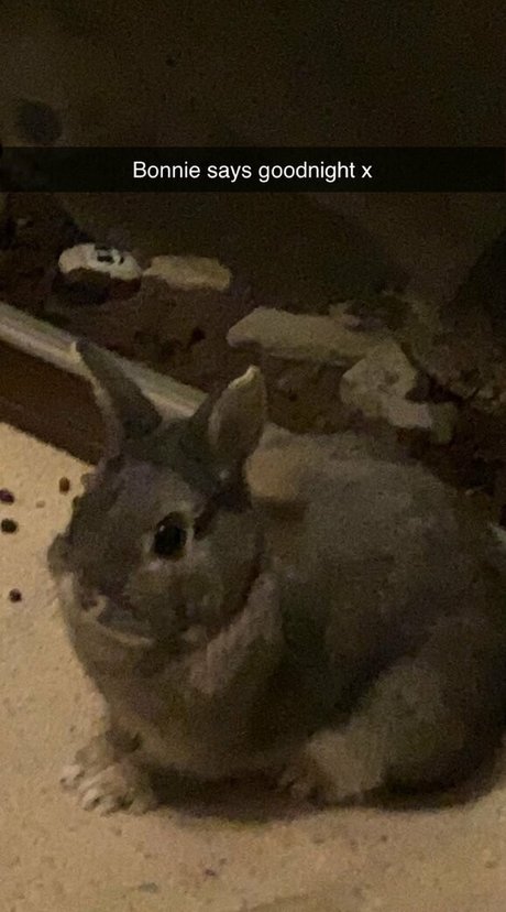 sweet little hunni actrice de sexe img