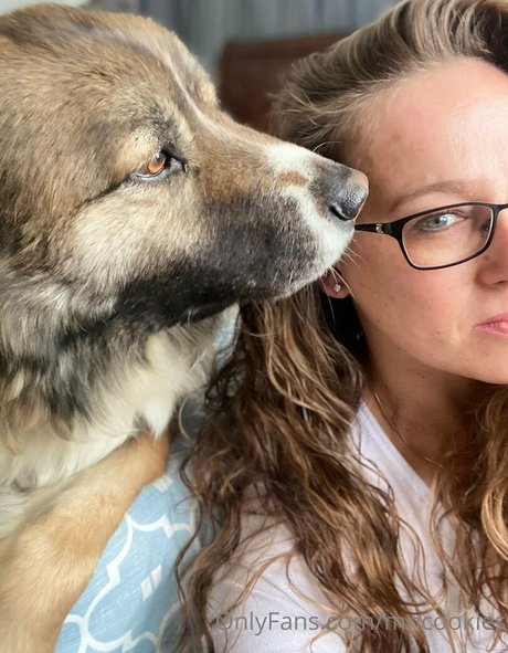 mncookies estrella caliente imagen