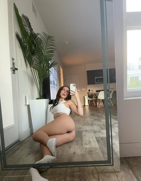 Brittanienash étoile de haute qualité collection