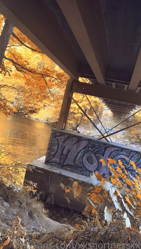 xxshortnessxx estrella porno bonita galerías