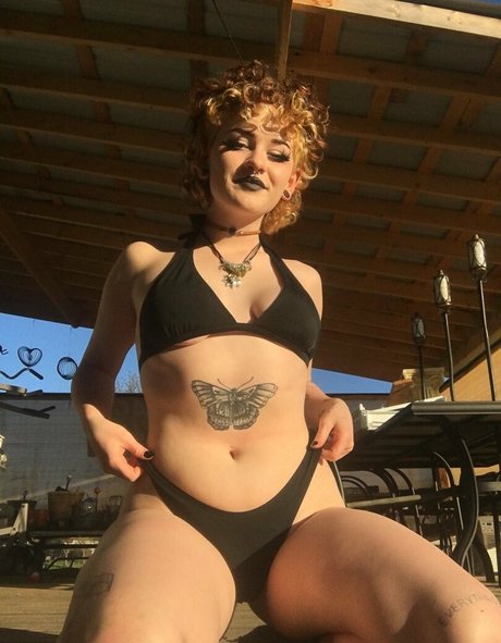 OnlyFans sans chaton beau nu photo