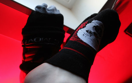 crustbag modelo exclusivo recopilación