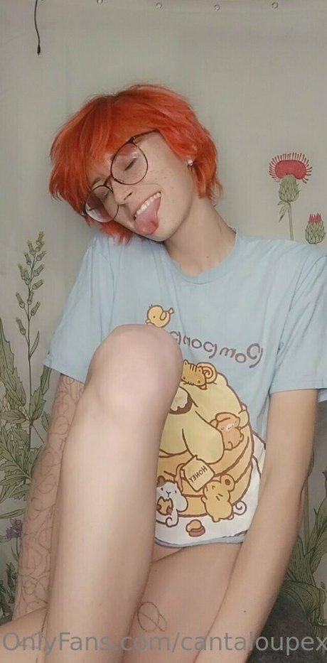 cantaloupexo estrella hd imagen