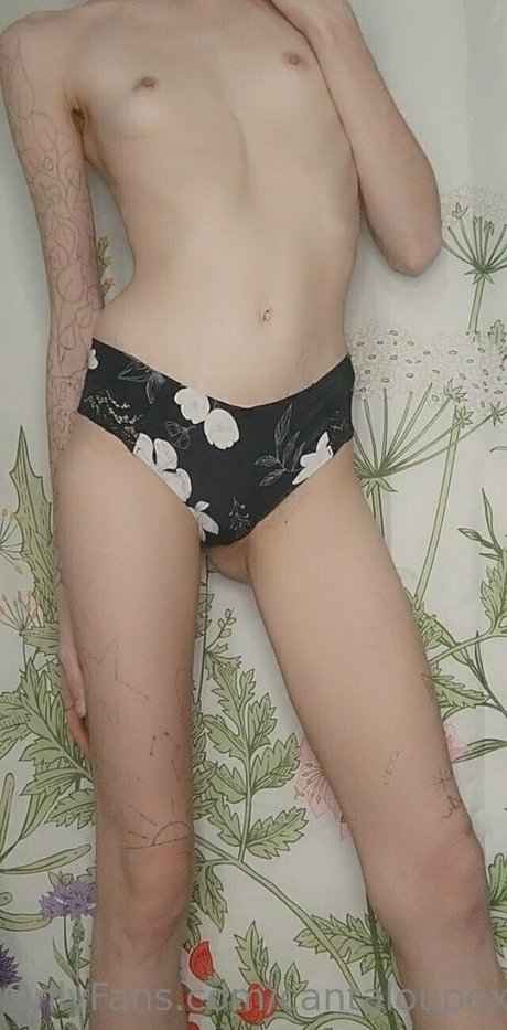 cantaloupexo étoile érotique archive