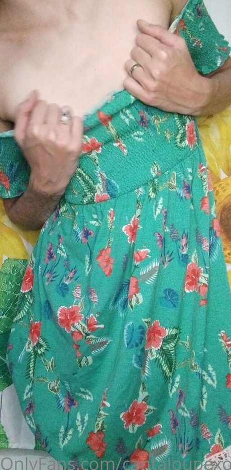 cantaloupexo estrella perfecta archivo