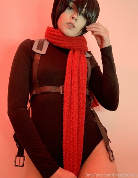 Breadboodle modelo recopilación