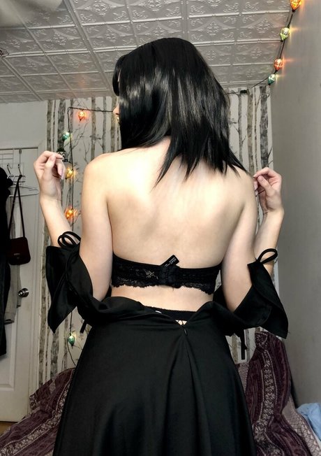 Breadboodle estrella atractiva foto