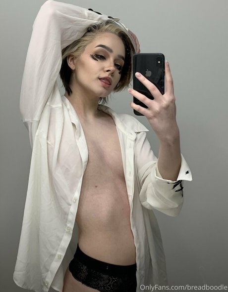 Breadboodle étoile chaude galerie