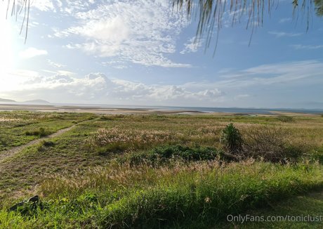 toniclust estrella adulta galerías