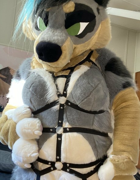 crownmutt estrella del arte foto