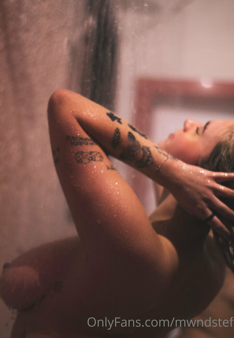 mwndstef estrella libre galería