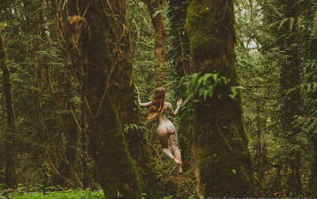 thepennyarcher meilleure étoile photo