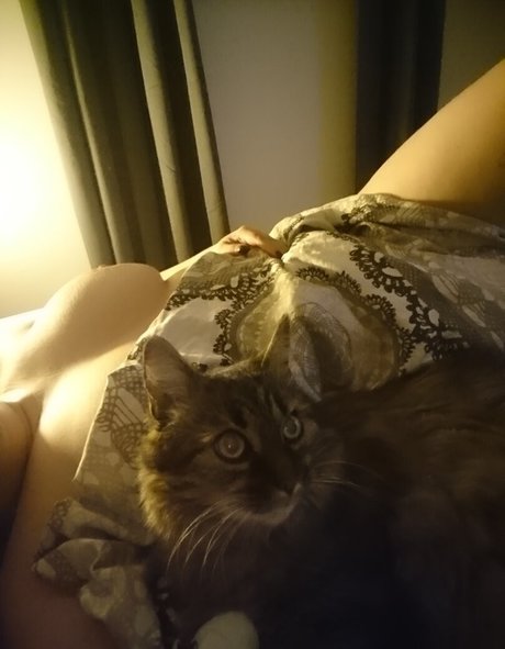 madame cherie haut étoile archive