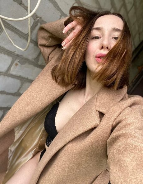 evaholiday estrella hd imagen