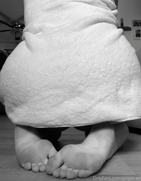 ginger ed estrella perfecta galerías