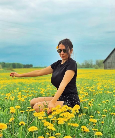 Gulia art star du porno images