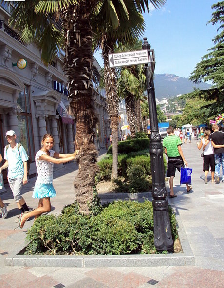 WTFPass estrella de alta calidad fotos