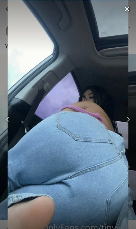 Tinyvel estrella libre archivo