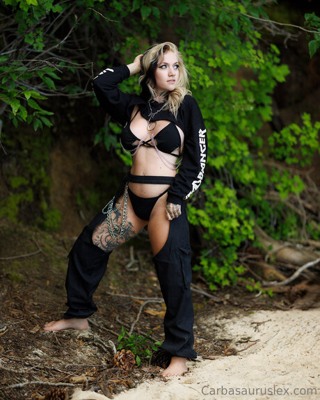 carbasauruslex star du porno belle photos