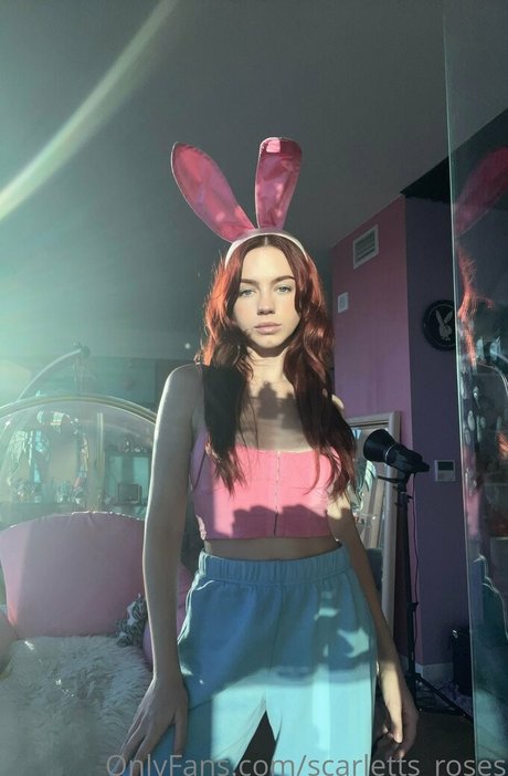 haleysvision xxx étoile galeries