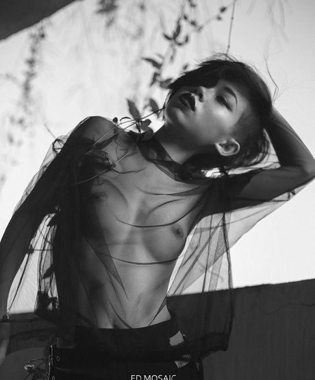 EmotionalBirdy modèle xxx collection